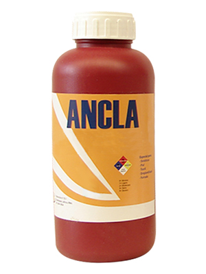 Bote pegamento Ancla